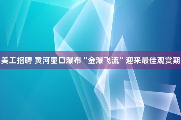 美工招聘 黄河壶口瀑布“金瀑飞流”迎来最佳观赏期